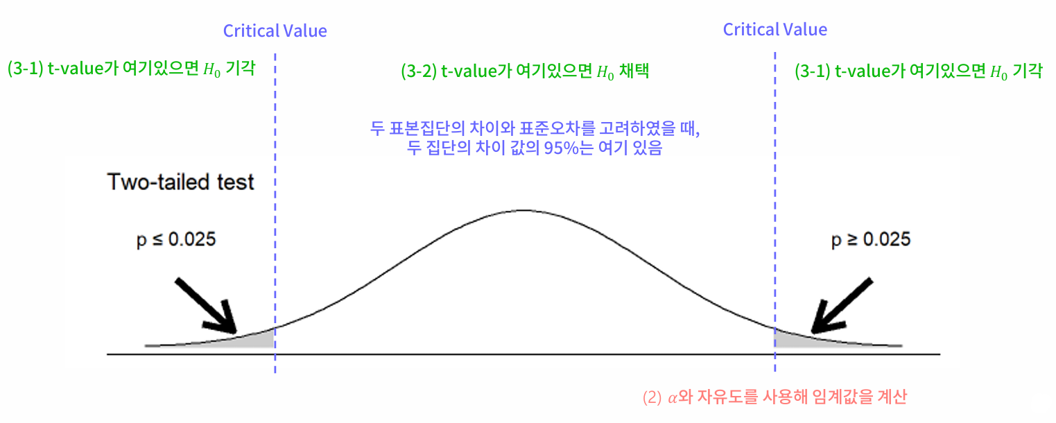 단측 검정