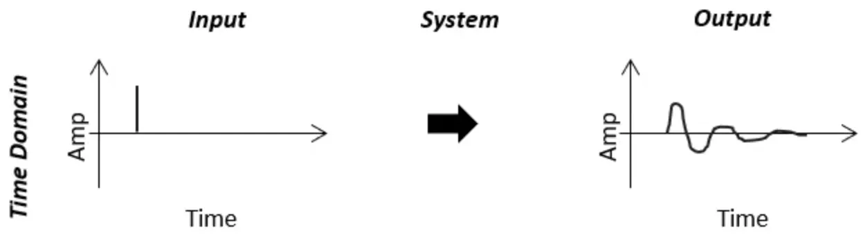 Input and output of the system